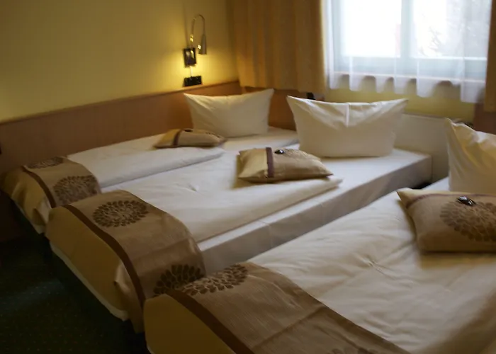 Otel Acron 3*